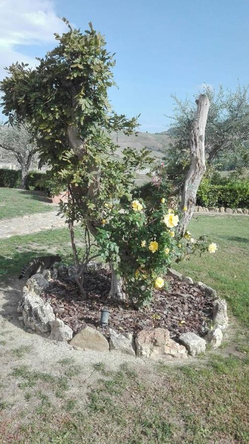 Agriturismo Casa Al Povero Volterra Exterior photo